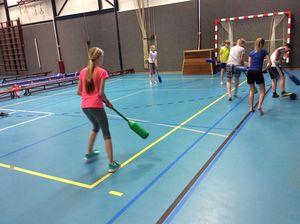 Gymnastiek met meester Tim